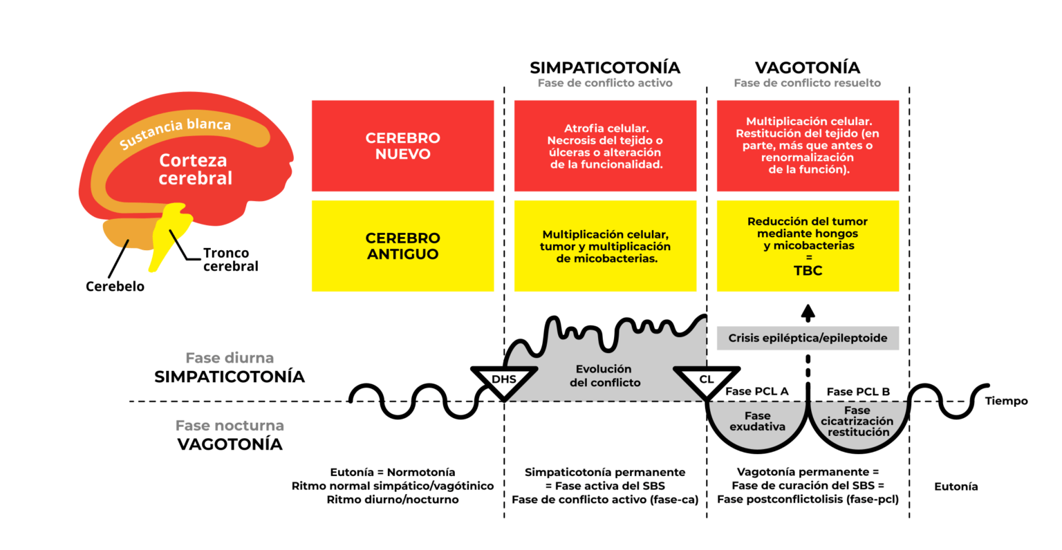 NMG Nueva medicina Gemanica