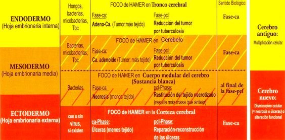 Origen Biológico De Cada Enfermedad