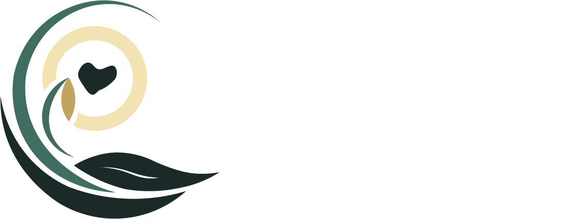 Reconectando con la Vida