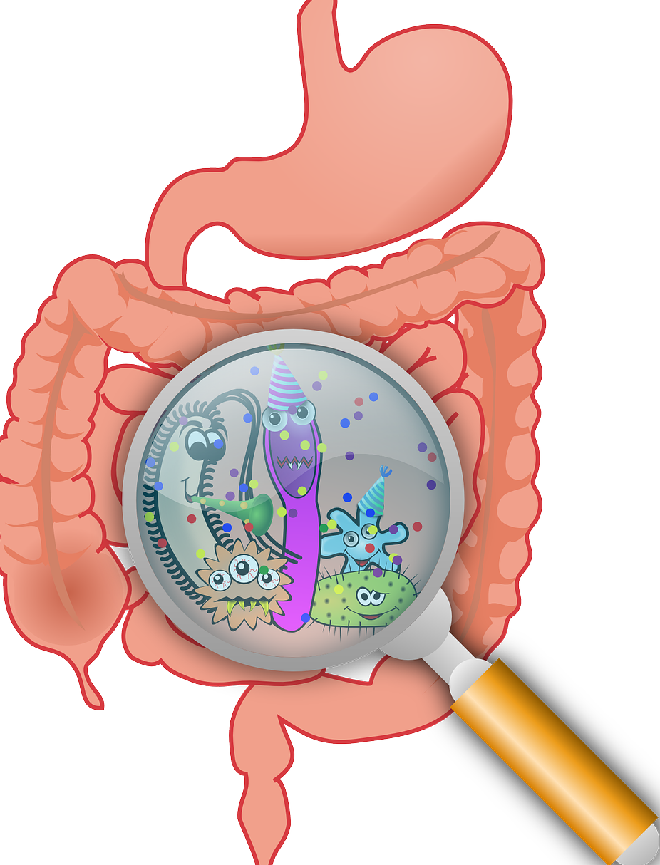 Diarrea y su Conflicto Emocional